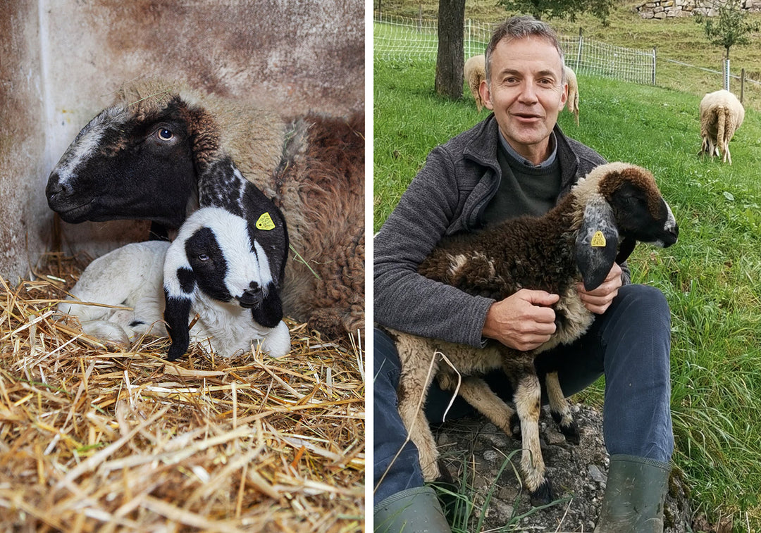 Miss Baabuka Program – 2024 Update