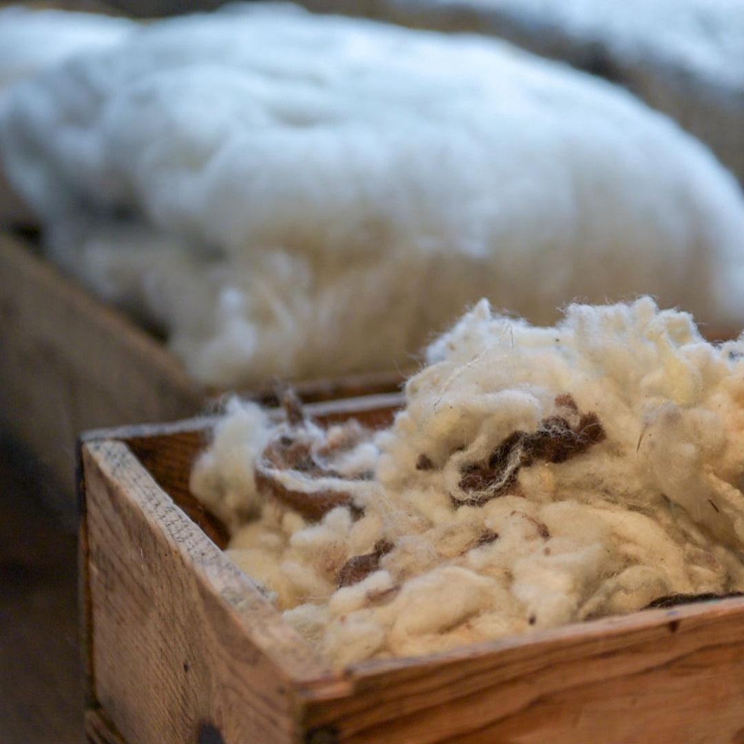 Top 5 Natural Benefits of Wool
