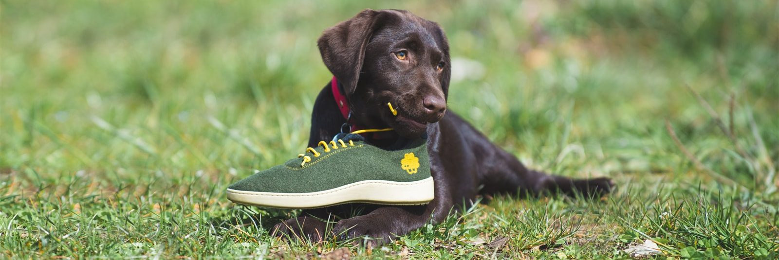 End of Line Clearance