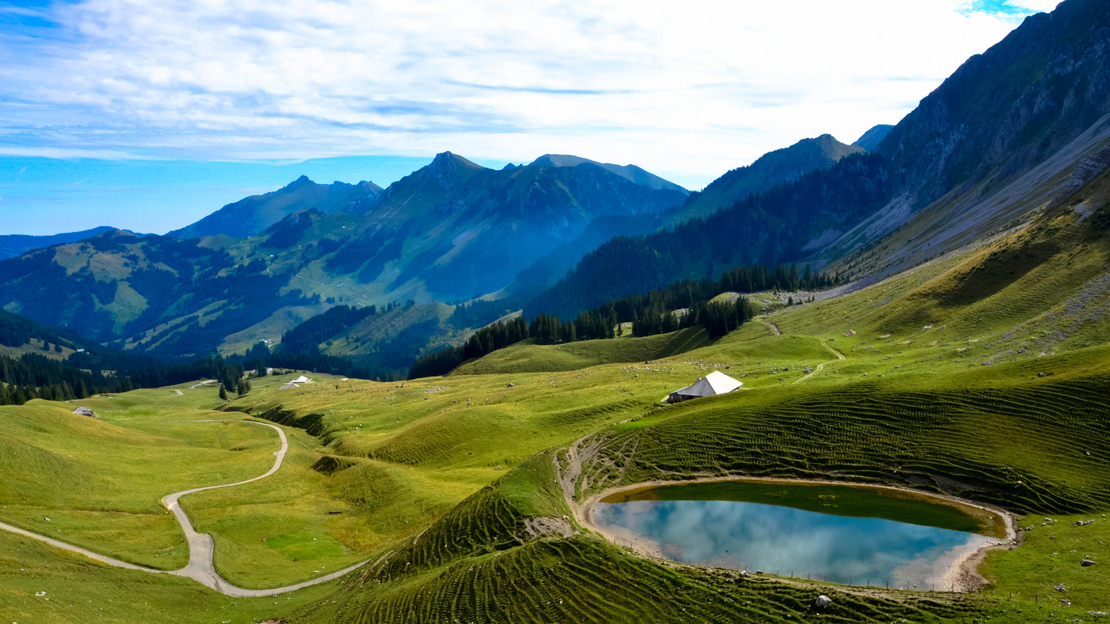 Swiss Collection